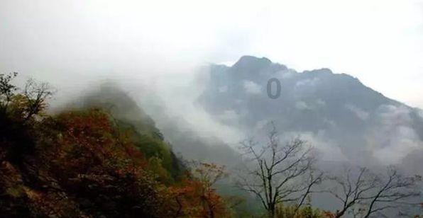 探索百日行动结果出炉!558个虾米落网,唐山打人案为何没有消息了?,开启知识星球的奇妙旅程